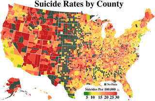 <span class="mw-page-title-main">Suicide in the United States</span> Statistics and causes of suicide in the U.S.