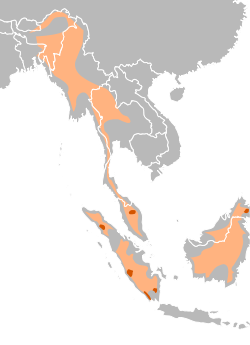 Sumatransarvikuonon levinneisyys. Alkuperäinen elinalue oranssilla, nykyinen punaisella.