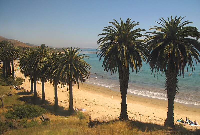 File:Surfers south of Gaviota, California.jpg