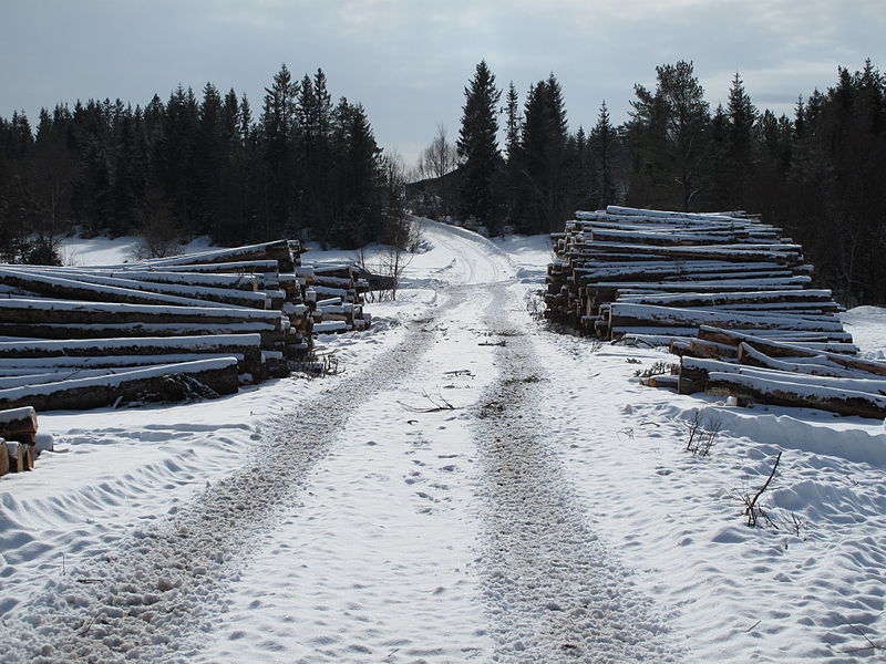 File:Tømmerlunner.jpg