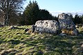 Tamnagorn Recumbent Stone Circle (3) (geograph 4447581).jpg