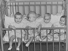 The St Neots Quads The-Four-Quads-in-a-cot-1936-1030x764.jpg