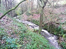 The River Ribble near Holmfirth