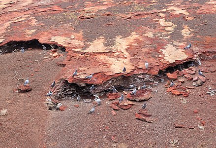 Hydrothermal deposits, Timanfaya National Park Lanzarote