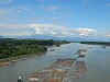 Timbers on the Fraser River