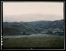 Growing tobacco in 1941 in Puerto Rico Tobacco country, vicinity of Barranquitas, Puerto Rico (LOC).jpg