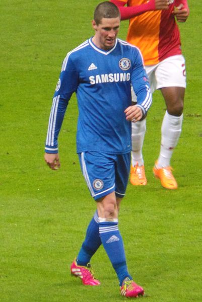 File:Torres'14.JPG