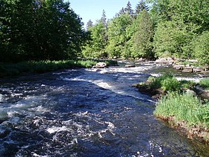 Río Connecticut: Historia, Fauna, Afluentes