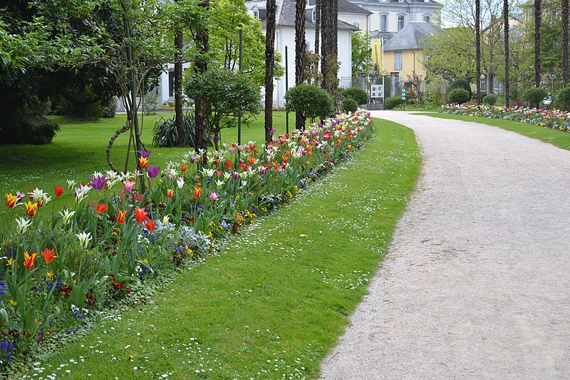 File:Tulipes en fleur au Jardin Massey de Tarbes 03.jpg