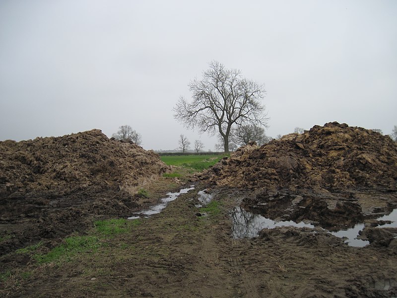 File:Twin Peaks - geograph.org.uk - 3913293.jpg