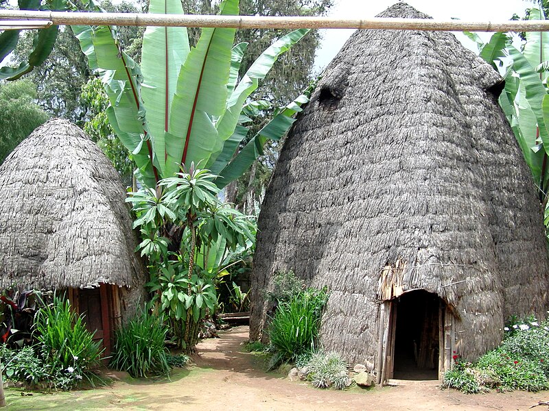 Fasciculus:Typical dorze huts.JPG