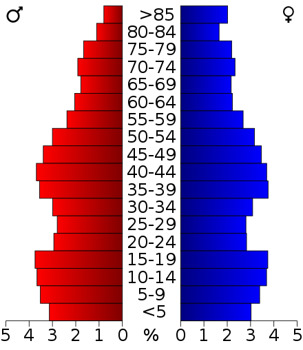 2000 Census Age Pyramid for Adams County.