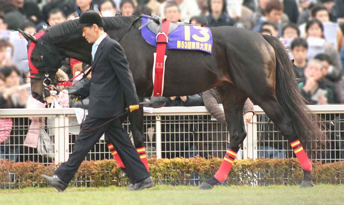 赤兔馬 (日本馬匹)