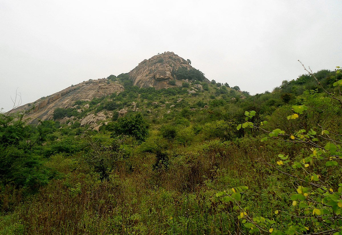 File:View of a Hillock at Mastyagiri village.jpg - Wikimedia Commons