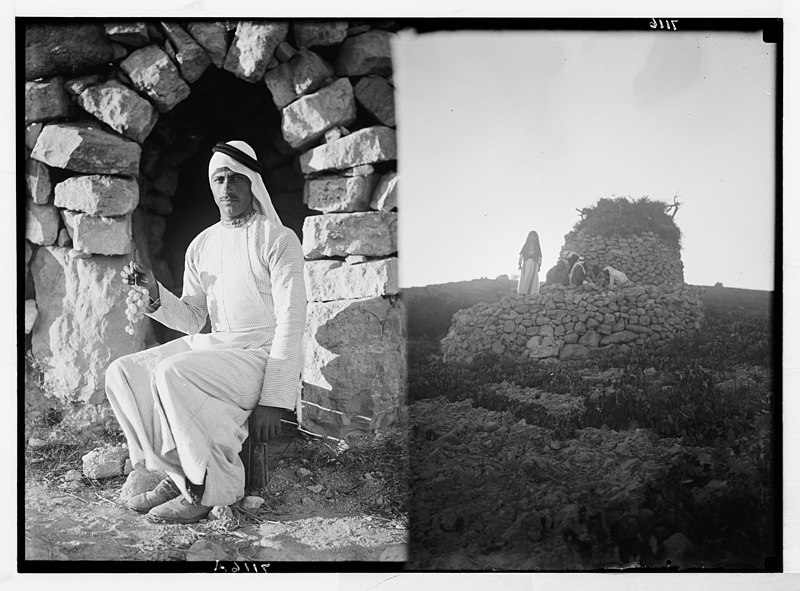 File:Vineyard & watch tower near Taibeh (i.e., Taybeh) & Ibrahim Yacoub, Ain Yabrud. LOC matpc.03275.jpg