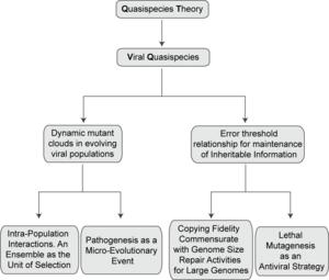 Flow of conceptual derivations of quasispecies theory for viral populations, and some biological consequences. Viral quasispecies Figure 2.png