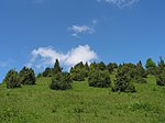 Haarberg-Wasserberg