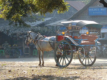 Horse and Carriage