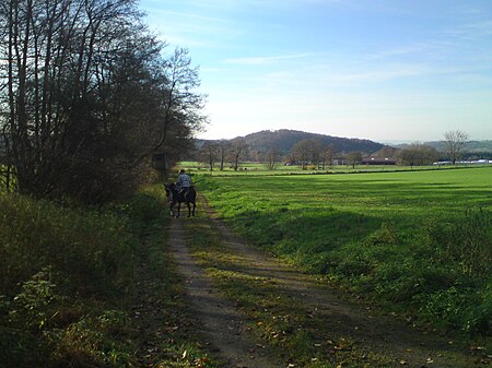 Weg am Faulbornbach