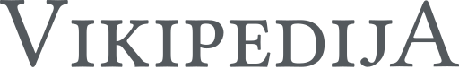 File:Wikipedia wordmark-bs Latn GREY Jnotlower.svg