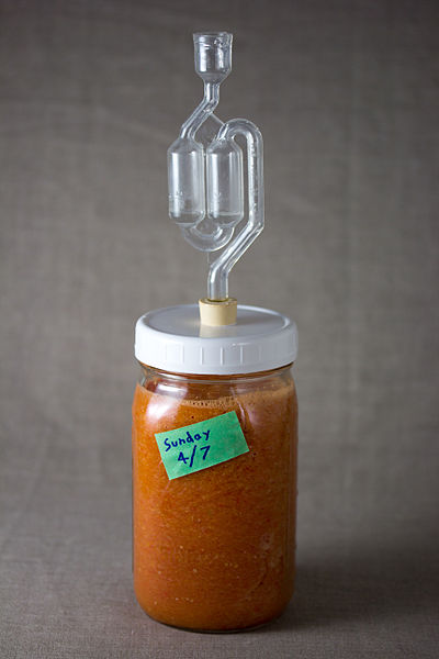 File:Wild Fermented Hot Sauce (8612664816).jpg