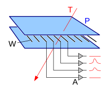 Wire chamber with wires (W) and cathode (-) plates (P). The particles traveling along trajectory T will ionize gas atoms and set free a charge that an amplifier (A) collects (impulse at the output). Wire chamber schematic.svg