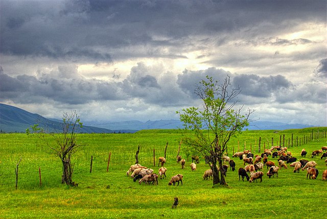 640px-Xinjiang_Tangbula_Grassland_Xinjiang(HDR)_(7115190267).jpg (640×429)