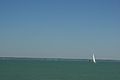 Yachts sailing in the Solent off Yarmouth, Isle of Wight during the Old Gaffers Festival 2012.