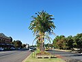 English: The main street of en:Yanco, New South Wales