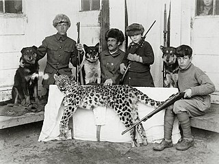 <span class="mw-page-title-main">George Yankovsky</span> Russian tiger hunter (1879–1956)