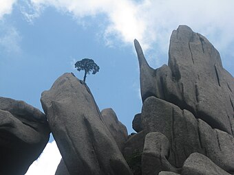 Huangshan, one of the most amazing mountain ranges in the world