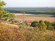 Widok Lasu Gdańskiego ze Zbocza w okolicy Zamczyska