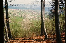 Zentralbibliothek Solothurn Ernst Klöti 0938 Nuglar.jpg