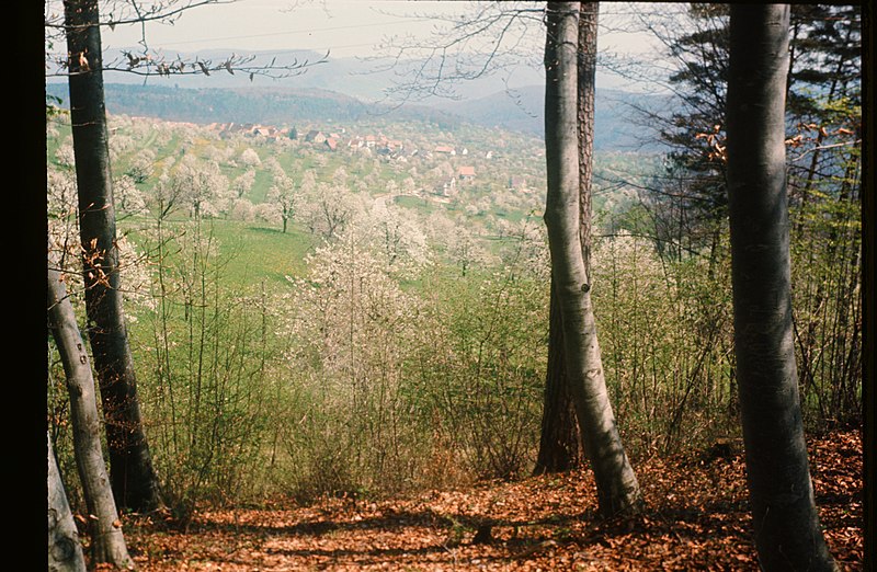 File:Zentralbibliothek Solothurn Ernst Klöti 0938 Nuglar.jpg