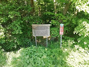 Infotafel Zwergbirkenmoor bei Schafwedel