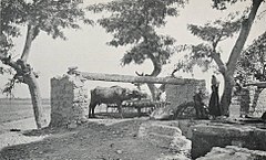"Sakiyeh" For Pumping Water (1906) - TIMEA (cropped).jpg