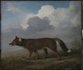 'Portrait of a Large Dog' (Dingo) RMG L6684-001.tiff