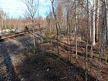 Разобранный боковой путь. Вид в сторону ст. Питкяранта.