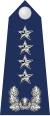 19.SKAF-GEN.svg