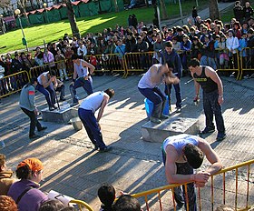 Anschauliches Bild des Artikels Basque Force