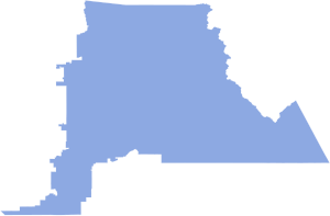 2006 AZ-5 Election Results.svg