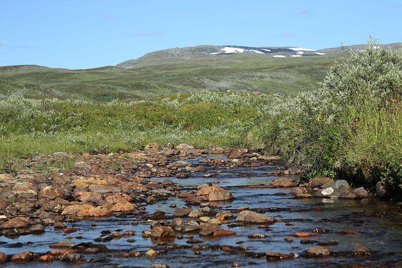 File:2014-08-02 Nordkalottleden, Sweden 6308.jpg