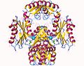 Thumbnail for N-acetylglucosamine kinase