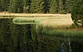 * Nomination Fichtelsee, a lake in Bavaria, Germany --Megatherium 15:00, 12 June 2018 (UTC) * Promotion  Support Good quality. --Basotxerri 17:12, 12 June 2018 (UTC)