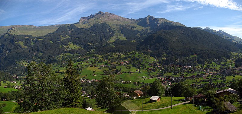 File:5068-5070a - Grindelwald - View from Wengernalpbahn.JPG