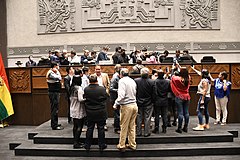 57th Ordinary Session of the Chamber of Deputies. 17 February 2022, Plurinational Legislative Assembly, La Paz (51888551529).jpg