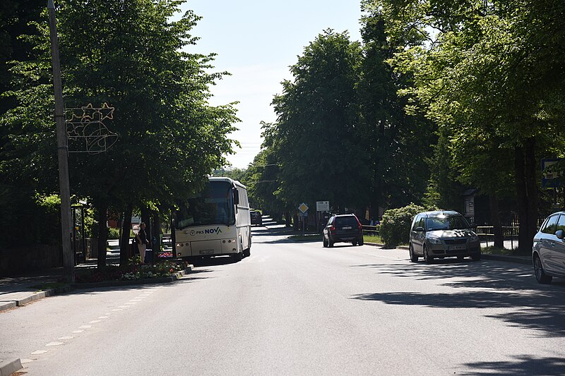 File:7223 June 2021 in Białowieża.jpg