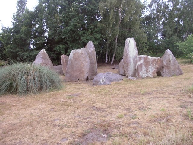 The sarsen megaliths that were once part of the chamber of the long barrow