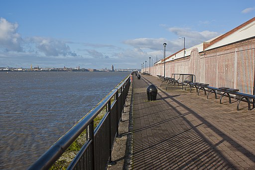 A riverside walk - geograph.org.uk - 3251352