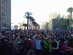 Protestanter på "Vredens dag", 25 januari 2011